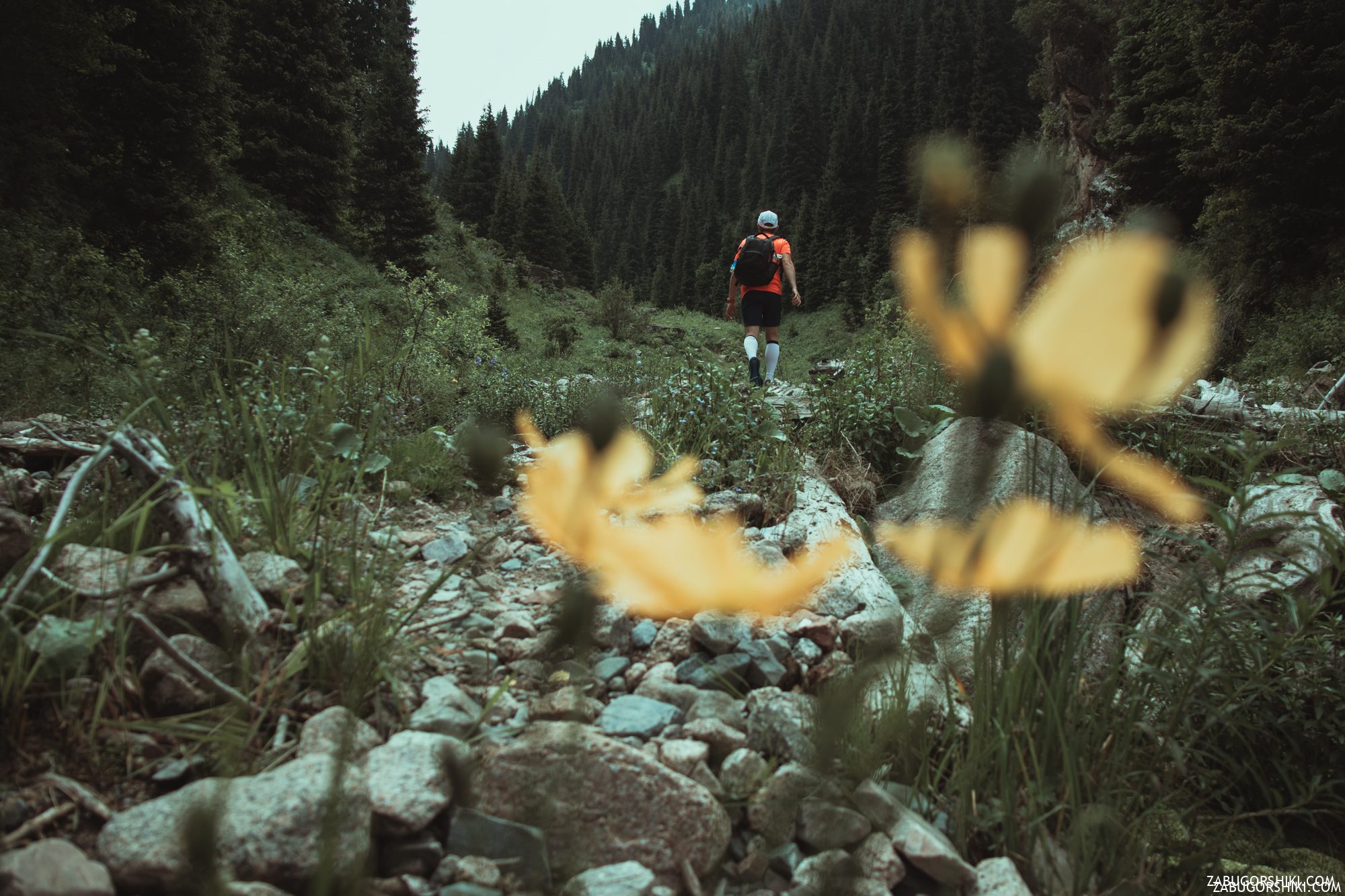 Butakovskiy waterfall: how to get there, route, Almaty mountains