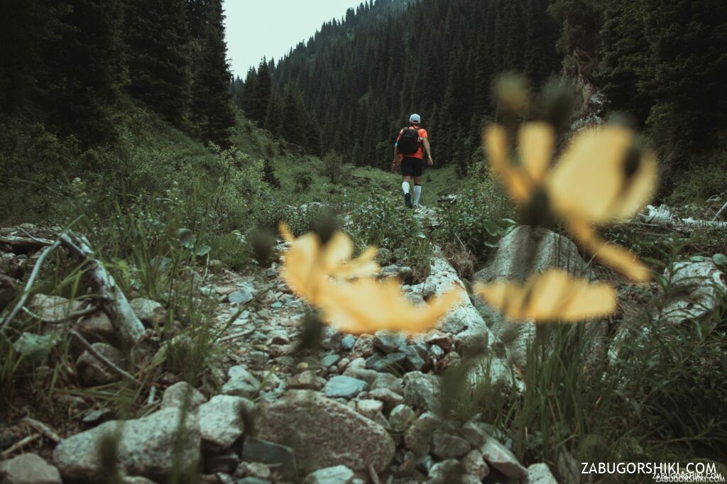 Day Hiking Tour to Butakovka Waterfalls from Almaty
