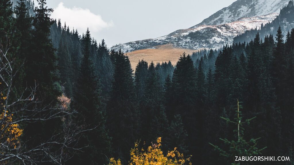 Terra Field and Alyoshkin Bridge: how to get there, route, Almaty mountains