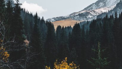 Terra Field and Alyoshkin Bridge: how to get there, route, Almaty mountains