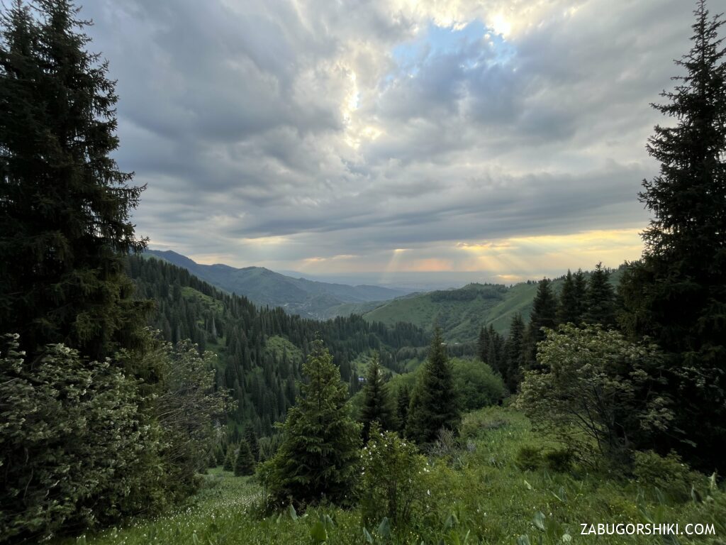 “Lesnaya Skazka” and “Oi-Qaragai mountain resort”
