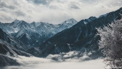 Wolf mountain