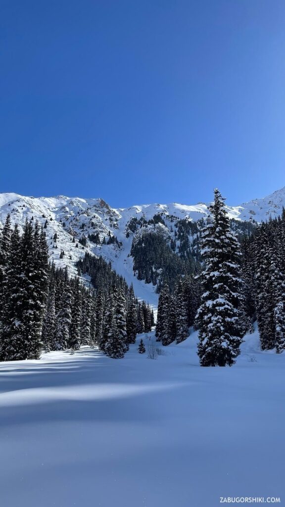 Guided Hike to Lunar Meadow & Shukur Waterfall – The Gateway to Big Almaty Lake on Foot