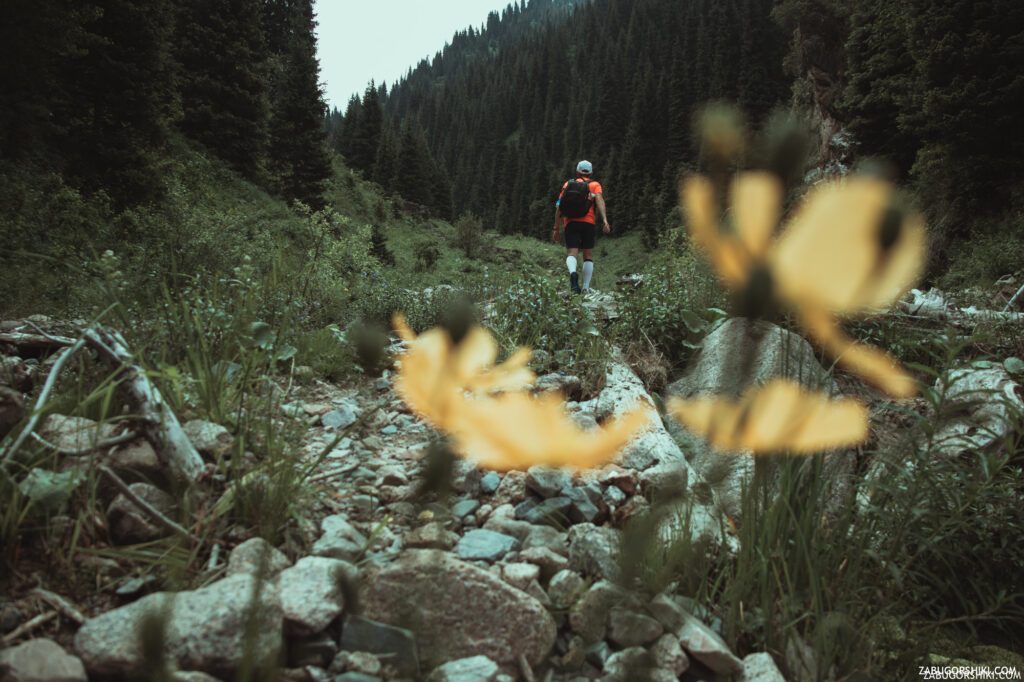 Бутаковский водопад: как добраться, маршрут, горы Алматы