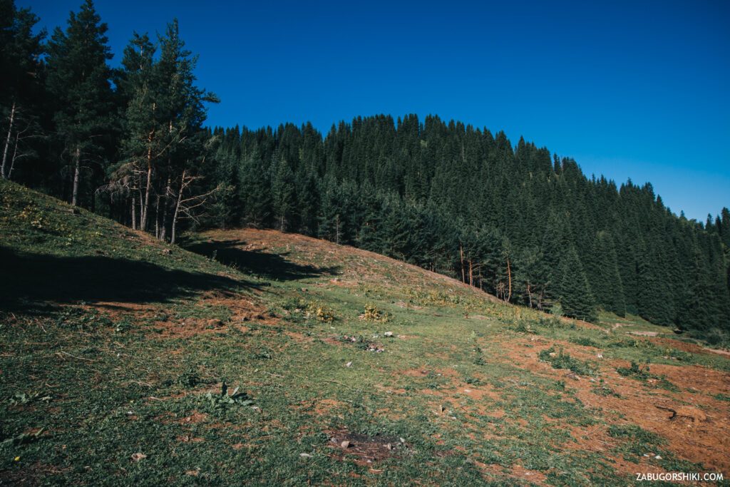 Это изображение имеет пустой атрибут alt; его имя файла - IMG_0643-1-1024x683.jpg