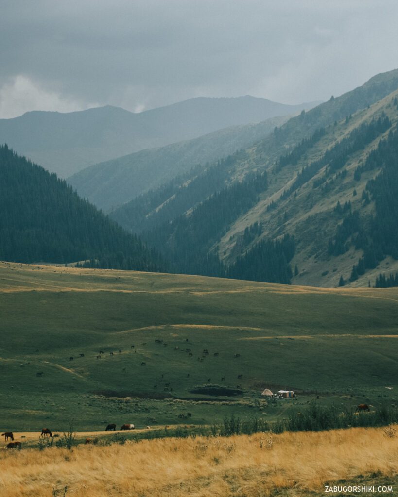 Плато Ассы